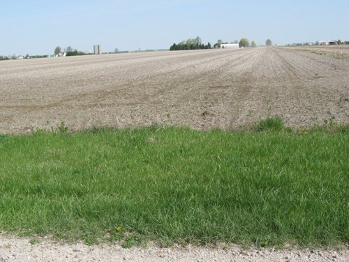 Property photo 6 - 172 Acres Offered in 3 Tracts - Prime Farmland